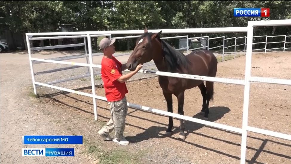 Община казаков Чувашии открыла отделение конного спорта