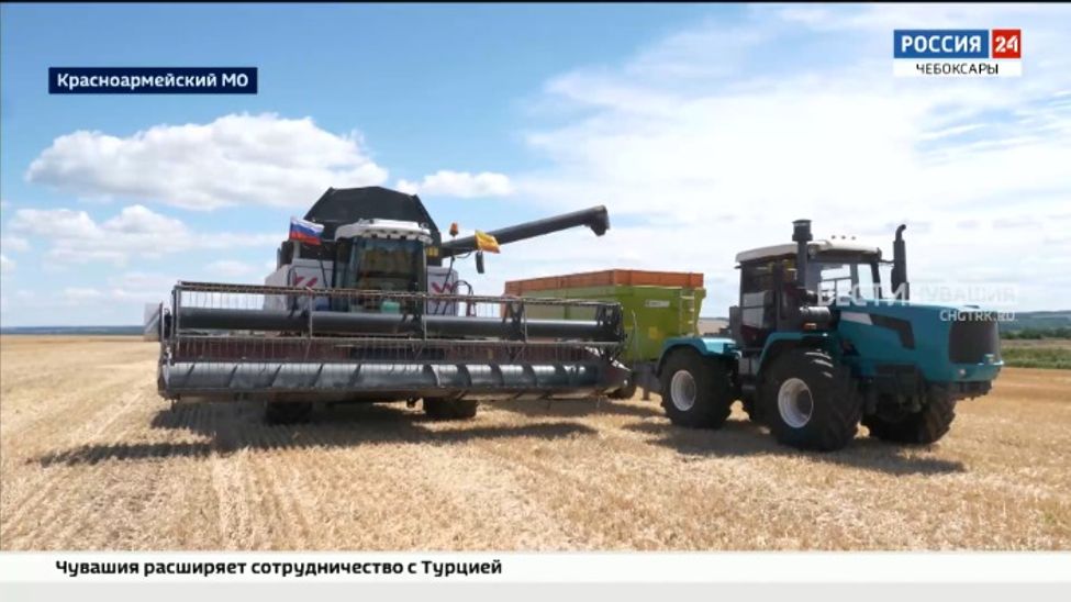 Аграрии Чувашии планируют управиться с уборкой зерновых за две недели