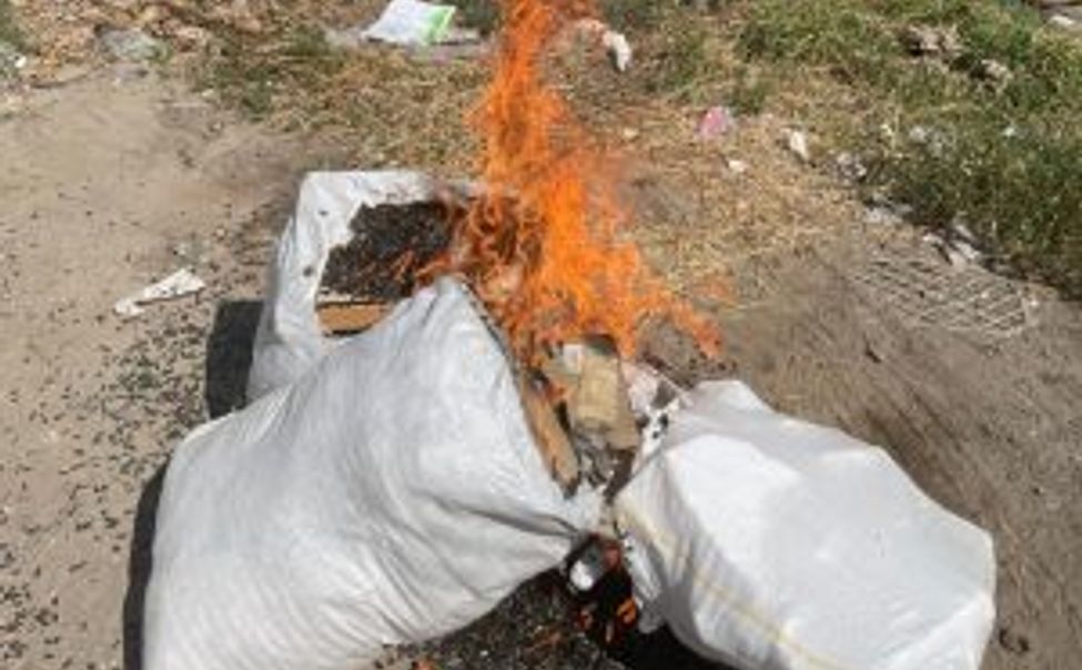 В Чувашии уничтожили 102 кг семечек