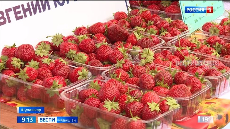 Республикӑра иккӗмӗш хут ҫырла фестивалӗ иртрӗ