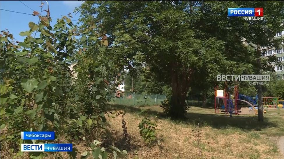 Фейковое дело: МВД Чувашии опровергло информацию об изнасиловании 