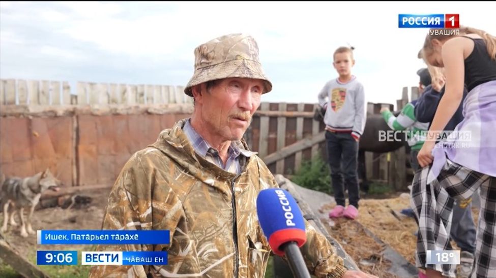 Зоопарк тейӗн: тем те пур кунта