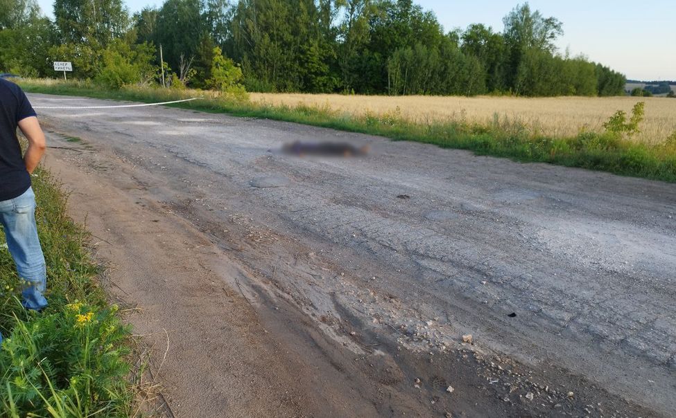 В Козловском округе неизвестный насмерть сбил 22-летнего парня и скрылся