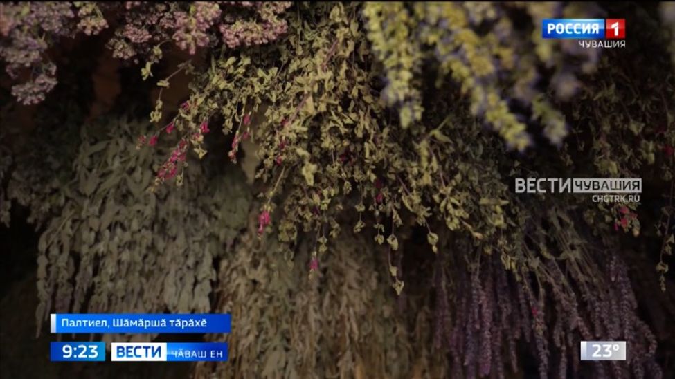 Пӗтнӗк, тупӑлха, сар ҫип ути, чапӑр курӑкӗ тата ытти вун-вун тӗрли