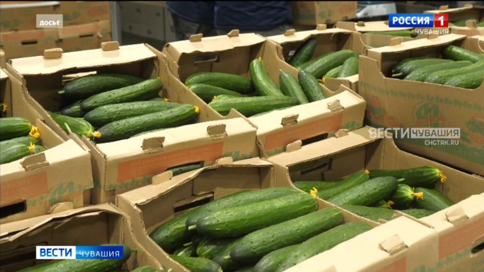 В Чувашии за полгода уничтожено 10 тысяч тонн опасных овощей и фруктов