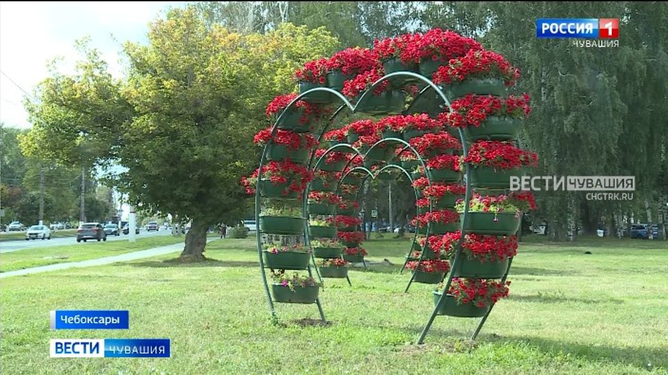 Для цветочной карты России Чебоксарам передали более 16 тысяч кустов роз