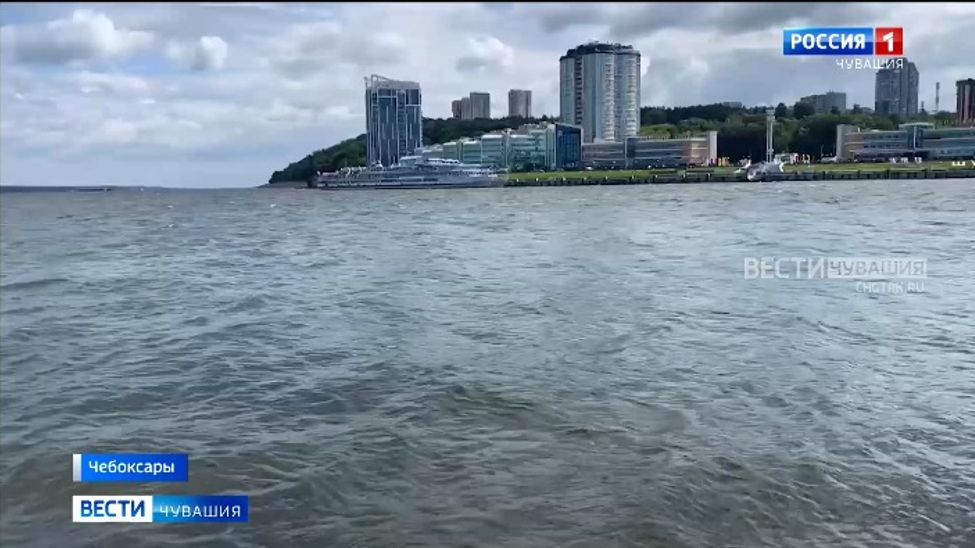 Чебоксарское водохранилище пополнилось краснокнижной стерлядью