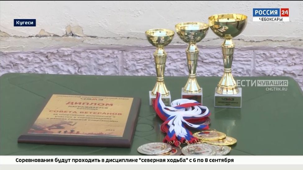 Чебоксарский электроаппаратный завод провел традиционное летнее многоборье