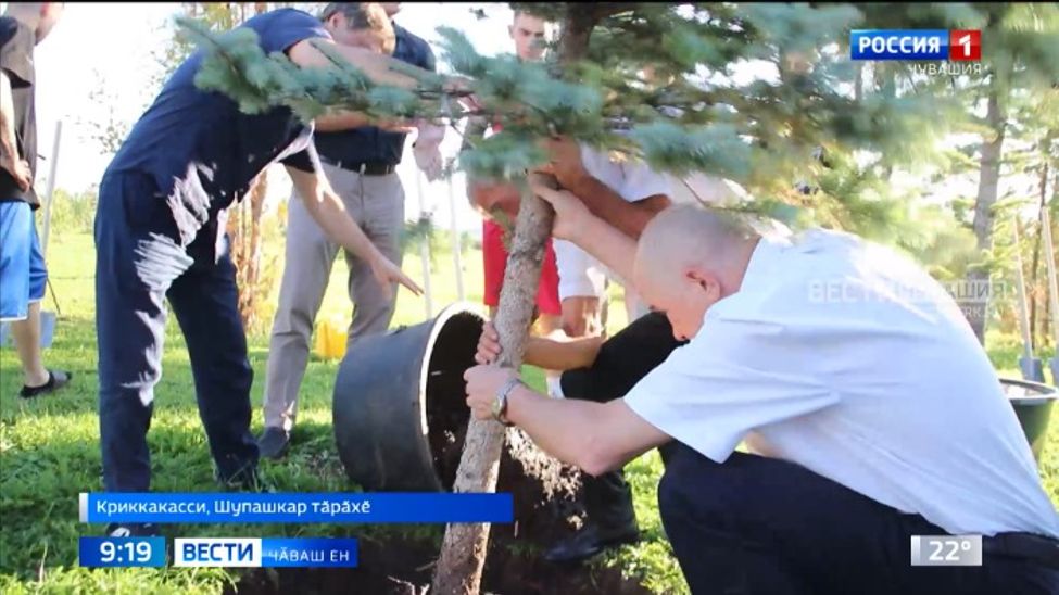Шупашкар тӑрӑхӗнчи космонавтсен садӗнче паллӑ боксерсем йывӑҫсем лартрӗҫ
