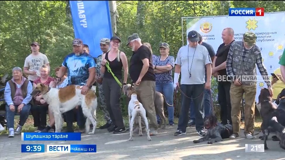 Республикӑра 5-мӗш хут сунарҫӑсен фестивалӗ иртрӗ