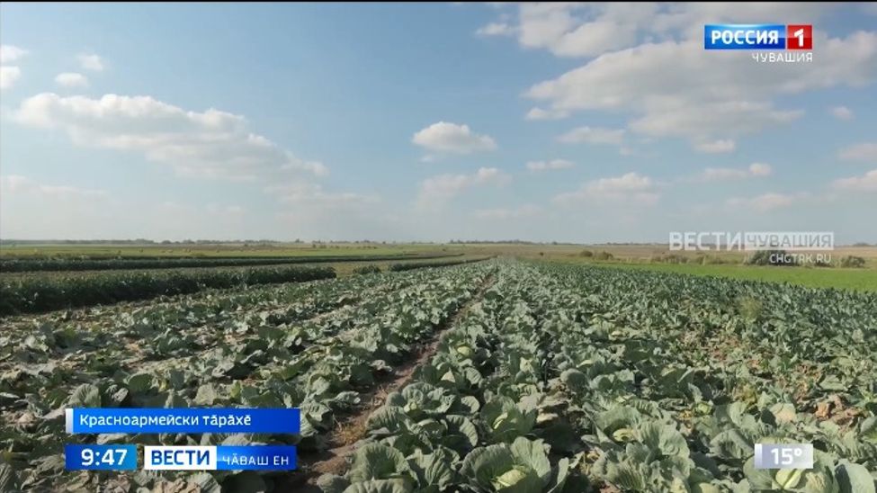 Пахча-ҫимӗҫ туса илме те, туризма аталантарма та ӗлкӗрет