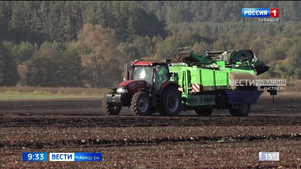 Хресченсем юлнӑ тухӑҫа пуҫтарса кӗртес тесе тӑрӑшаҫҫӗ