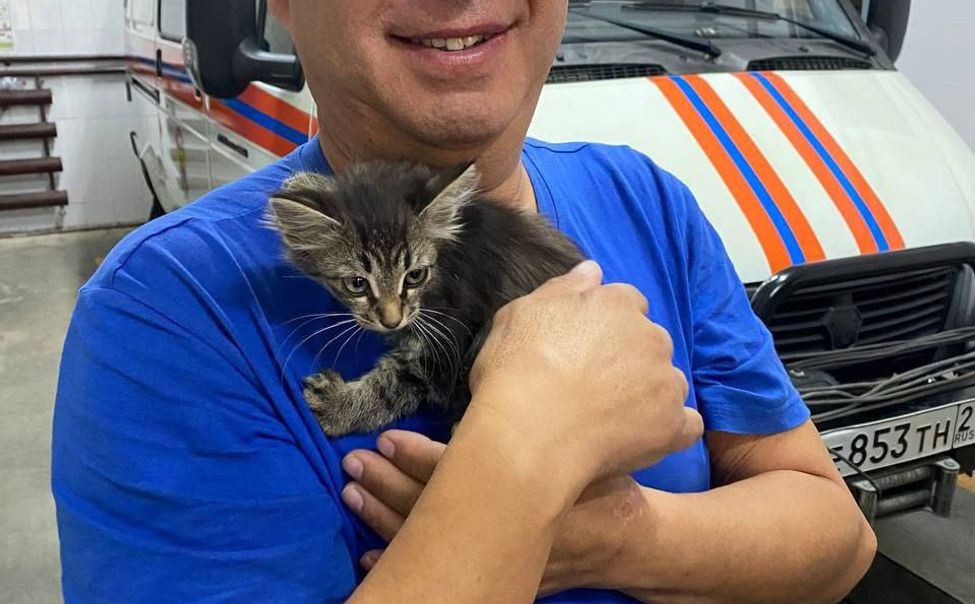 В Чувашии спасатели достали из-под крыла автомобиля котенка