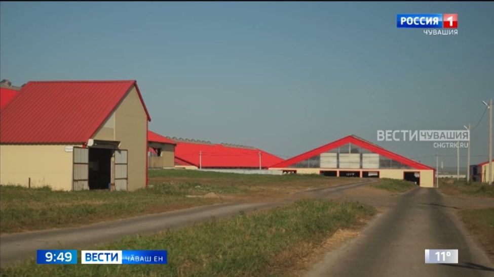 Республикӑри хуҫалӑхсем агротуризм енӗпе тӗллевлӗ аталанаҫҫӗ