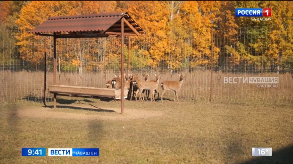 Патшалӑх пулӑшнипе республикӑра агротуризм проекчӗ пурнӑҫа кӗрет