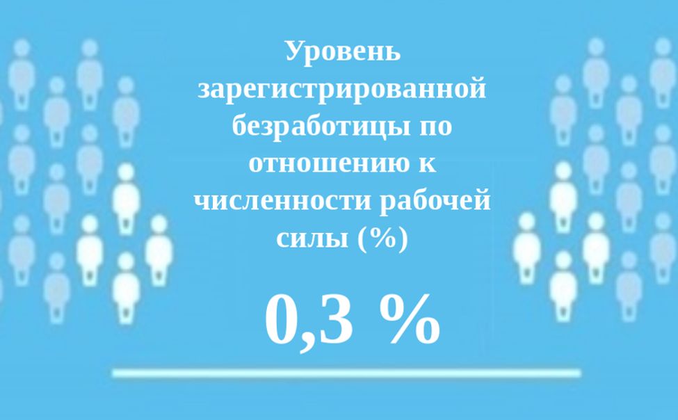 Уровень регистрируемой безработицы в Чувашии составил 0,3 %