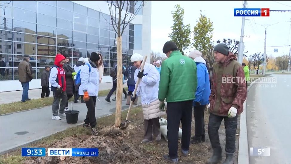 Ятарлӑ ҫар операцине хутшӑнакансен ячӗпе Шупашкарта ҫӑка йывӑҫҫисем лартрӗҫ 