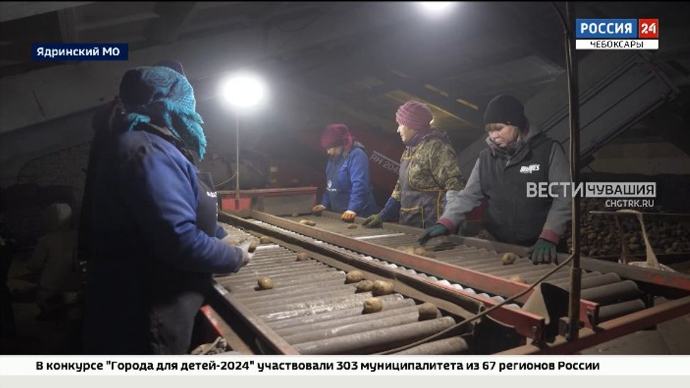 Сельскохозяйственную кооперацию Правительство Чувашии поддержало на 83 млн рублей