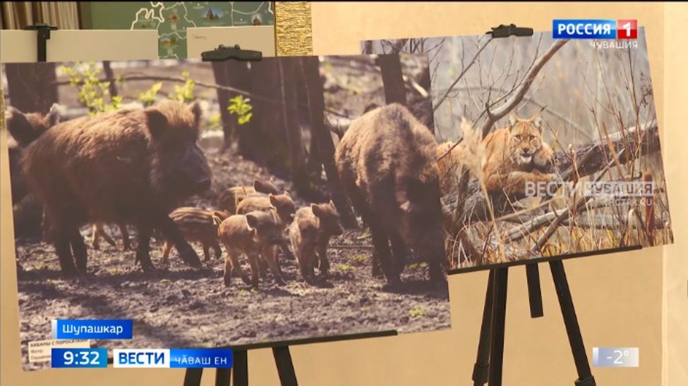 Тавралӑха упрассипе ӗҫсем малалла та пырӗҫ