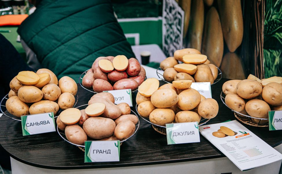 Выставка «Картофель-2025» пройдёт в Чувашии 5-6 марта