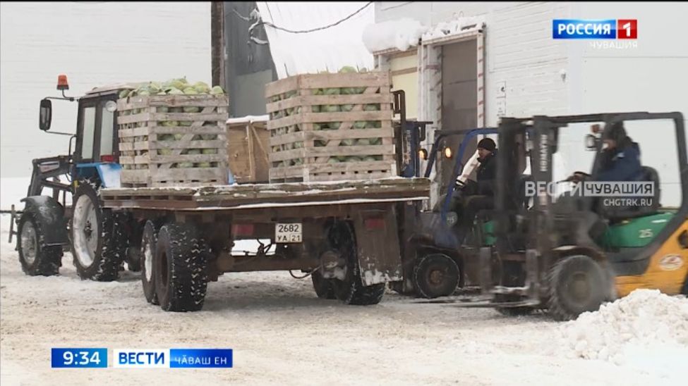 Чӑваш Енри 200 ытла фермерпа ял хуҫалӑх предприятийӗ кӑҫал йӳнетнӗ кредит илнӗ