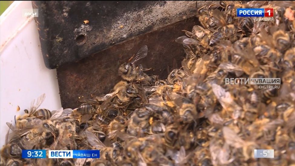 Пӗр-пӗринпе хутшӑнса ӗҫлеме вӗренмелле