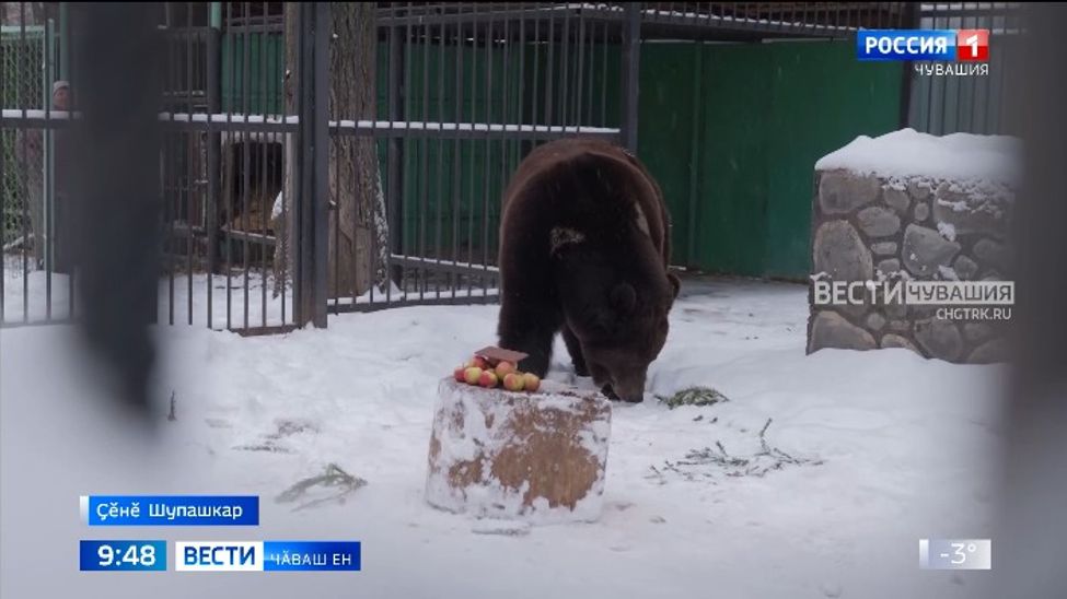 Тарӑн ыйха путма памаҫҫӗ