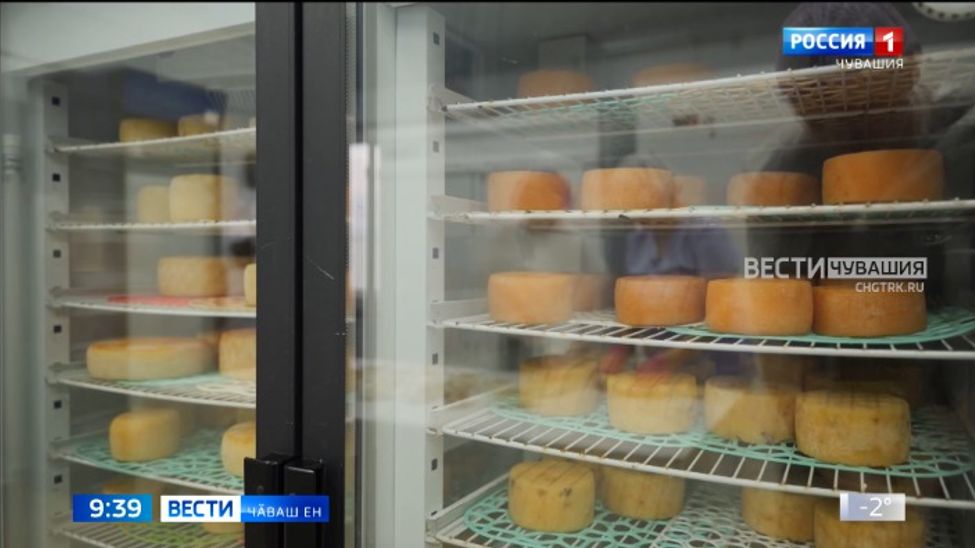 Паян сыр юратакансен кунне паллӑ тӑваҫҫӗ