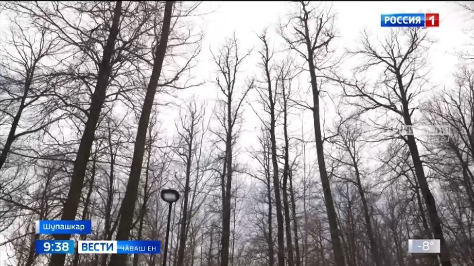 Шупашкарти юмансем Тӑван ҫӗршывӑн Аслӑ вӑрҫин геройӗсен ячӗсемпе хисепленсе тӑрӗҫ