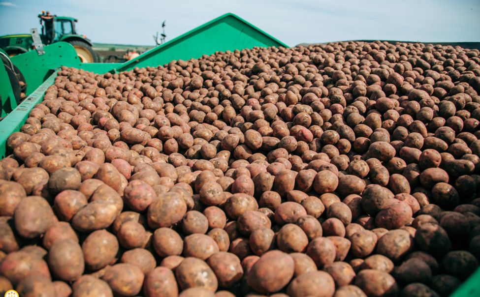 Минсельхоз Чувашии объявил заявочную кампанию на получение целевых субсидий 