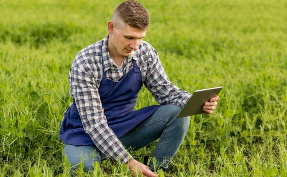 Чувашия вошла в ТОП-4 динамического рейтинга  цифровой трансформации сферы АПК