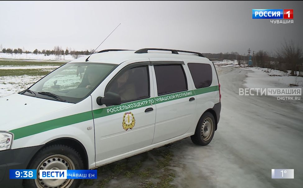 Пулас тухӑҫшӑн хальлӗхе пӑшӑрханмаллиех ҫук