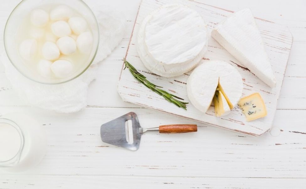 Драйверами развития Красночетайского округа заявлены перерабатывающие производства