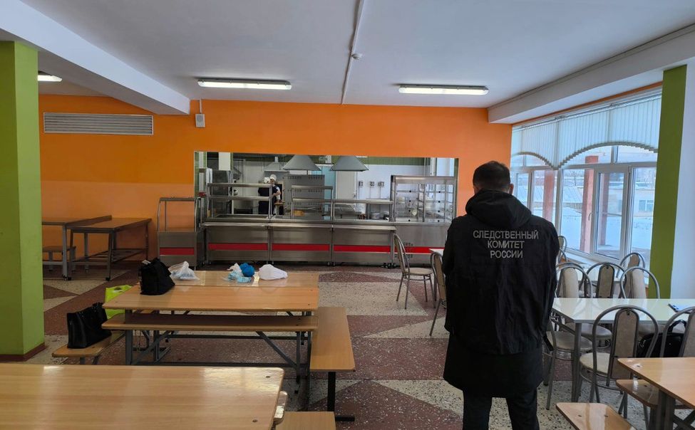 По факту заболевания учащихся Кугесьского лицея проводится доследственная проверка