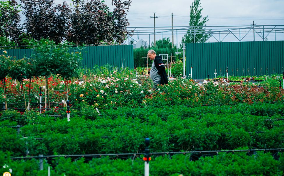 Чувашским садоводам готовы помочь с развитием инфраструктуры