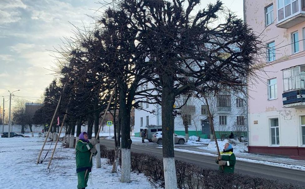 В Чебоксарах провели формовочную обрезку 3 тысяч деревьев