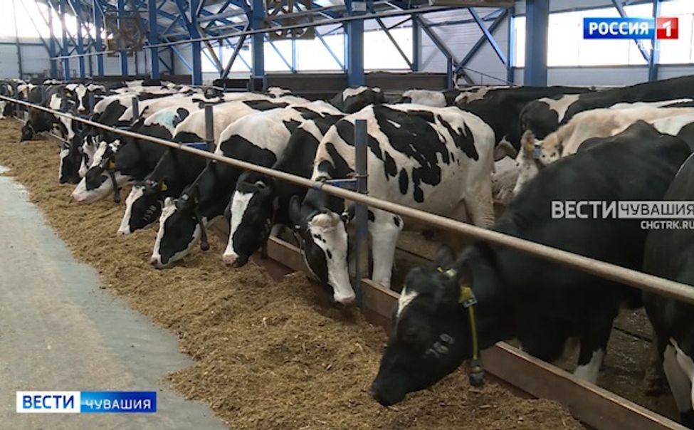 В Чувашии дополнили правила предоставления господдержки в агропромышленном комплексе