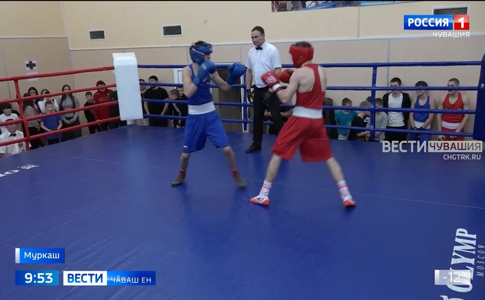 Муркаш ҫӗрӗ ҫинче боксра чи вӑйлисем вӑй виҫрӗҫ