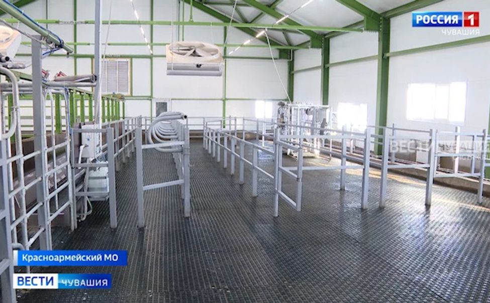 В Красноармейском округе открылся новый коровник на 600 голов