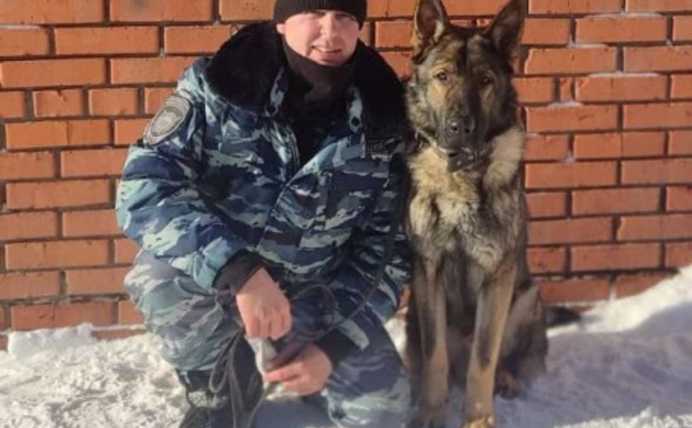 В Чебоксарах служебная собака помогла полицейским задержать серийных воров-гастролеров