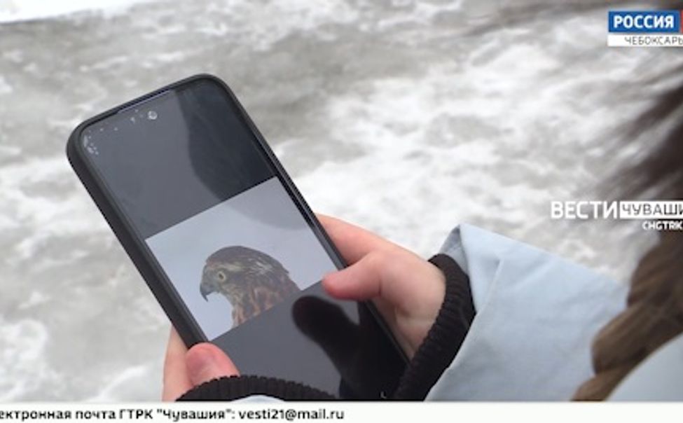 В семейной коллекции Александровых фотографии 195 видов птиц, обитающих в Чувашии