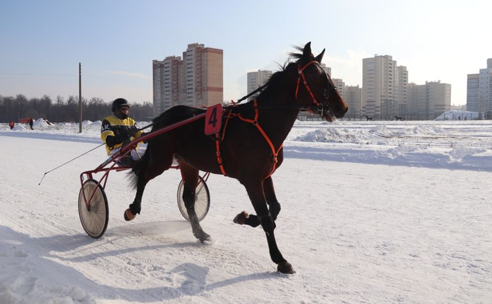Завершились Конные Бега «Снежный Кубок Чувашии»