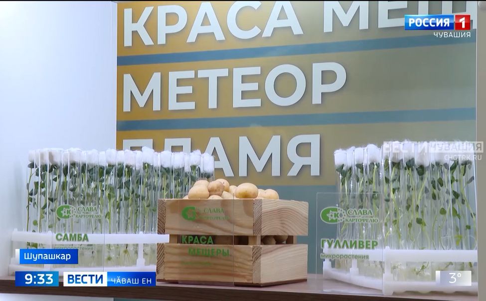 Республикӑра ҫӗр улми туса илекенсене аталанма майсем тата ытларах пулӗҫ