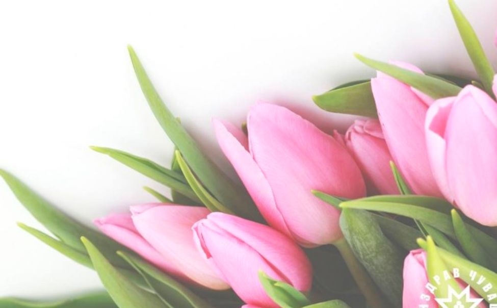 Вице- премьер Владимир Степанов поздравил женщин с 8 марта