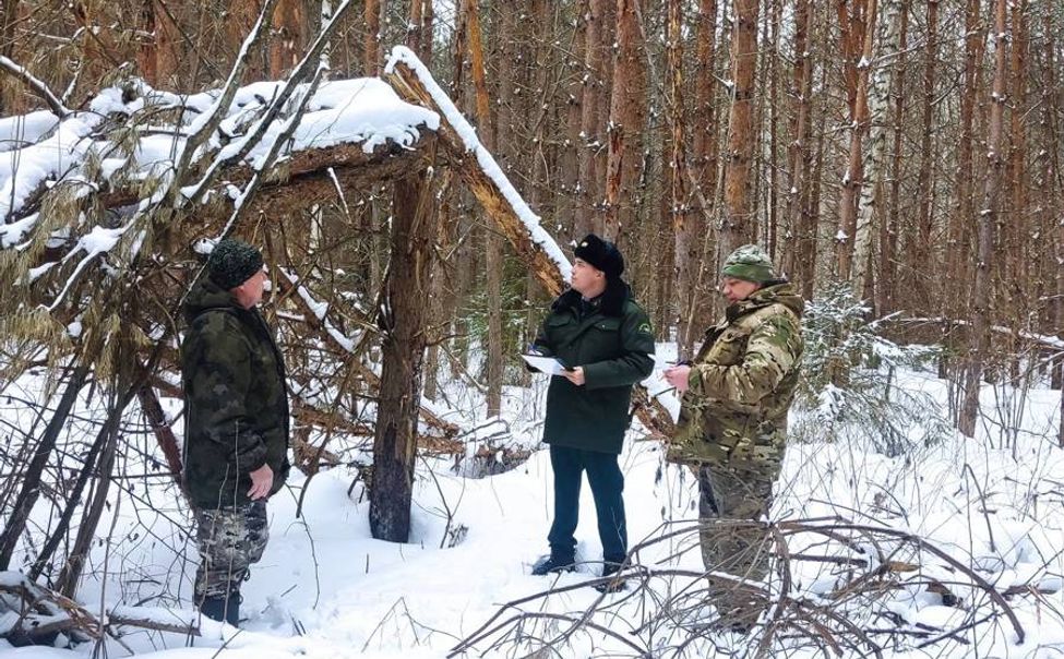 Лесные инспекторы Чувашии следят за здоровьем лесов