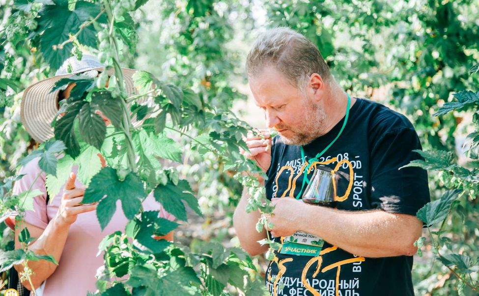 Чувашия в четвертый раз станет  центром хмелеводства и пивоварения России