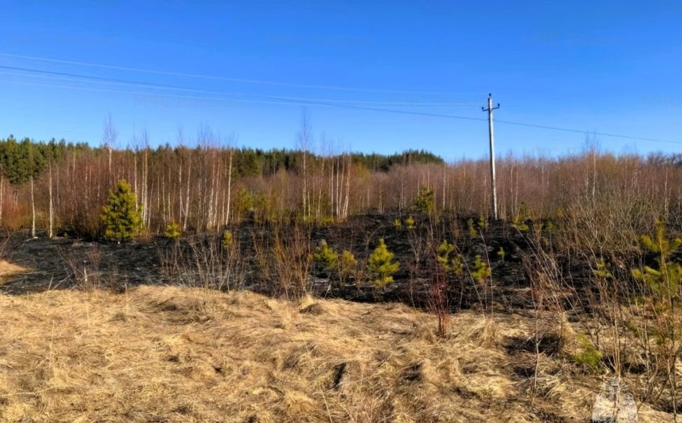 В Канашском округе пенсионер едва не сжег лес вместе с мусором