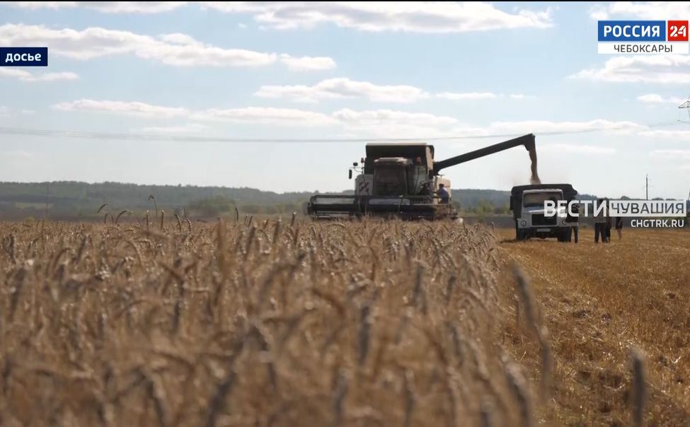 В Чувашии на развитие АПК в этом году направят 8 миллиардов рублей