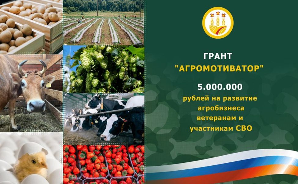 В Чувашии ветераны и участники СВО смогут получить до 5 млн рублей на развитие агробизнеса