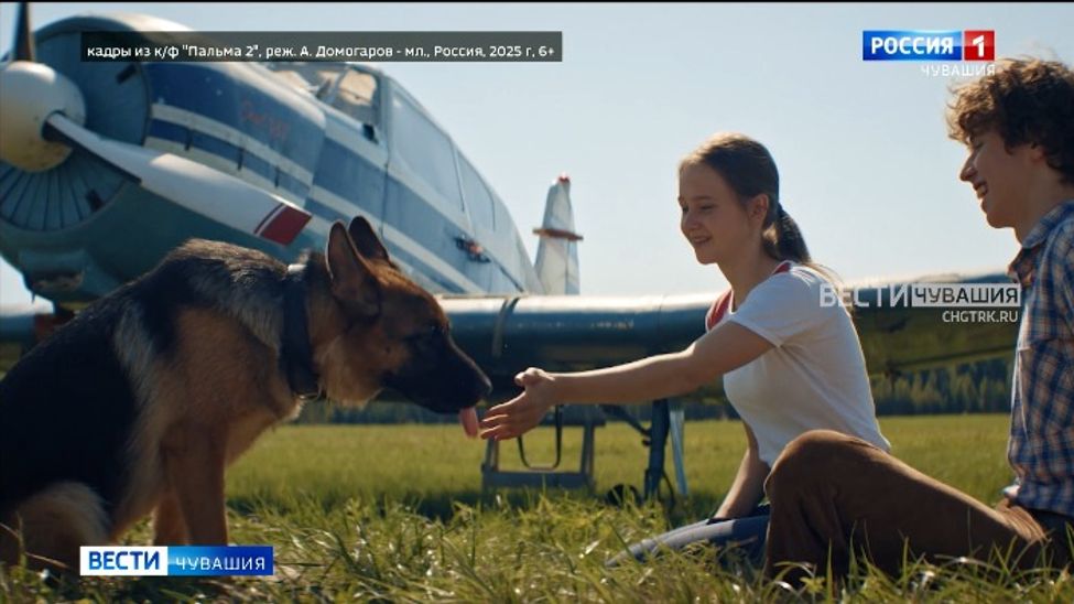 Фильм "Пальма 2" уже собрал более 200 млн рублей